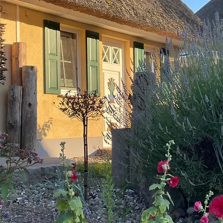 Haus Paula Nyaraló Born